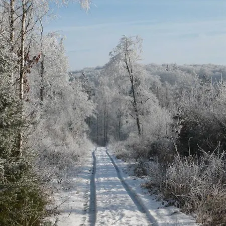 Wohlfuehloase Appartamento Frankenau