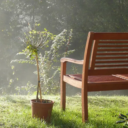 Wohlfuehloase Appartamento *