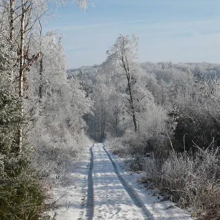 Wohlfuehloase Frankenau