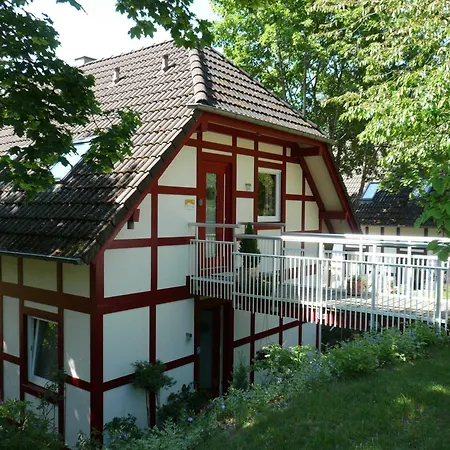 Wohlfuehloase