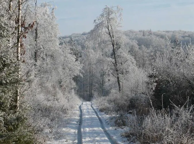 Wohlfuehloase Apartament Frankenau