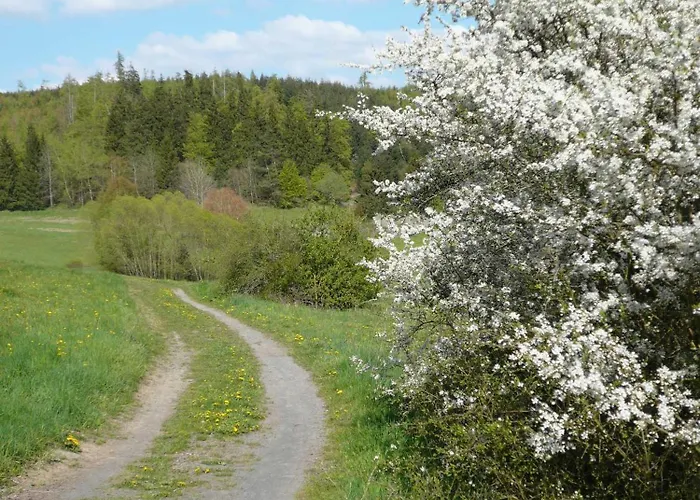 Wohlfuehloase Apartament *