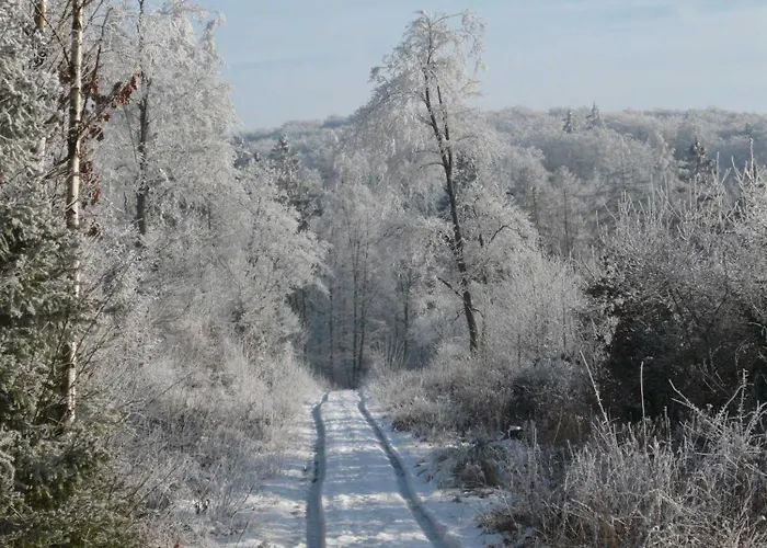 Wohlfuehloase Frankenau